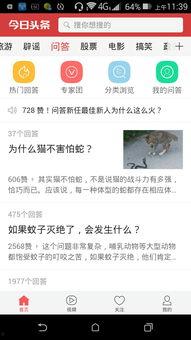 头条里问答怎么玩的